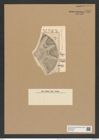 Aulacodiscus grunowii var. subsquamosa Pant. (de-Toni-Nr.: Genus 182, Species 4555) Zeichnungen Sammlung Grunow Nr. 8167 (NHMW-BOT-W0377535)